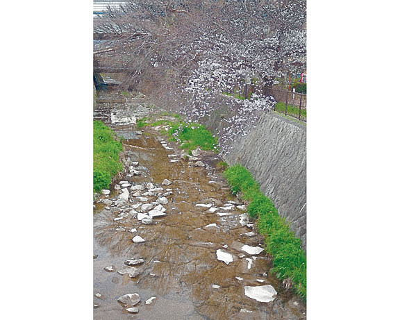 芦屋プラン株式会社 宇治市植物公園
